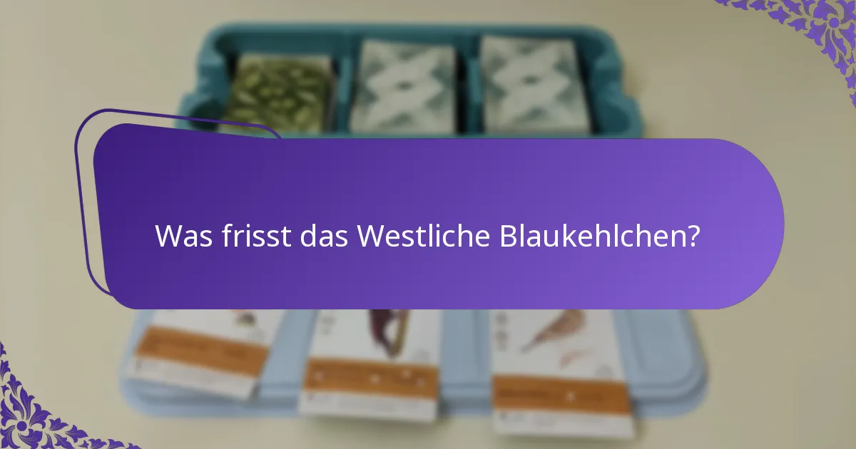 Was frisst das Westliche Blaukehlchen?