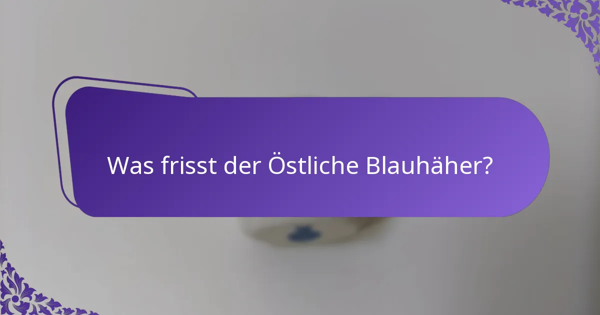 Welchen Lebensraum bevorzugt der Östliche Blauhäher?