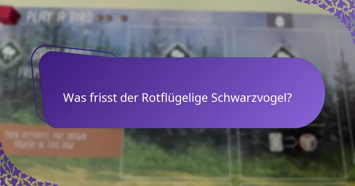 Was ist der Lebensraum des Rotflügeligen Schwarzvogels?