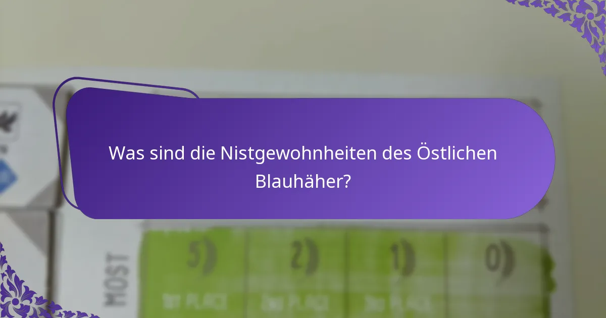 Was frisst der Östliche Blauhäher?