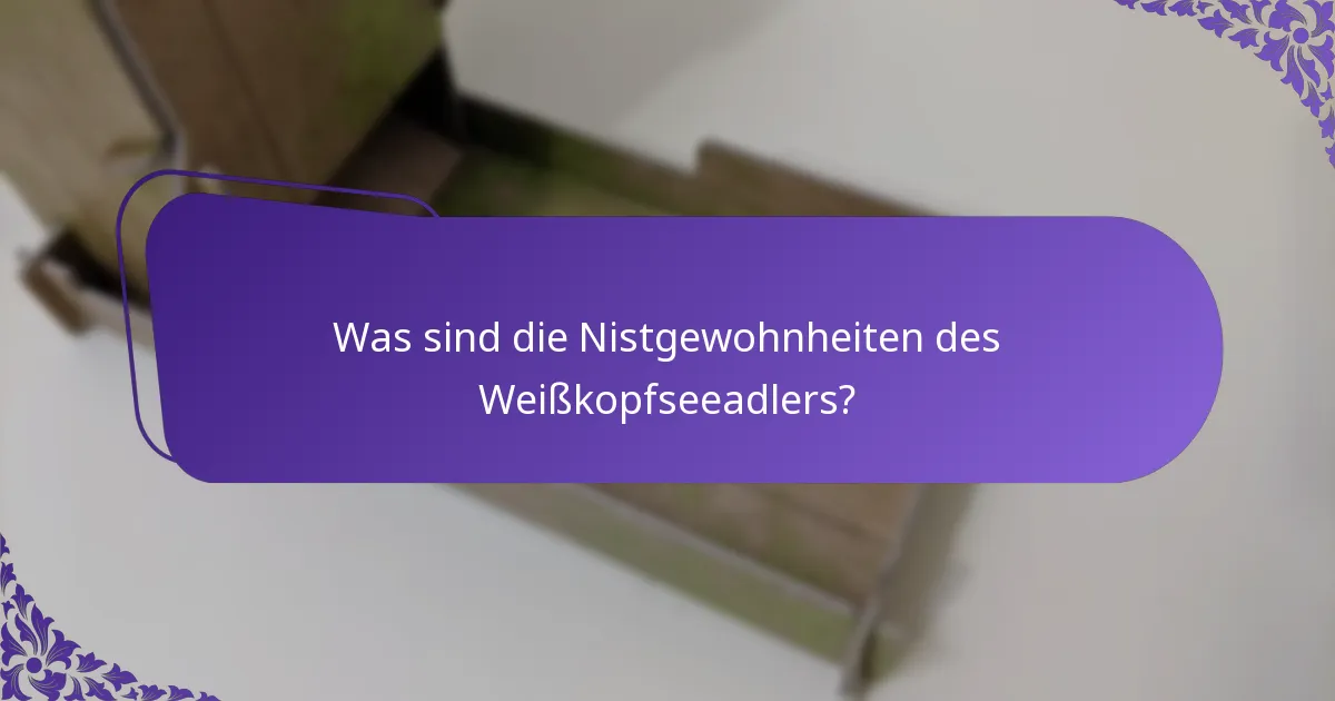 Was ist die Ernährung des Weißkopfseeadlers?