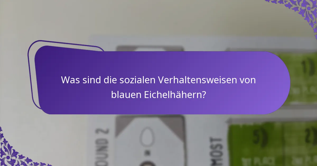 Was ist die Ernährung blauer Eichelhäher?