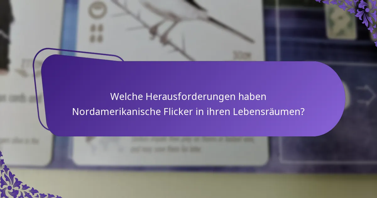 Welchen Lebensraum bevorzugt der Nordamerikanische Flicker?