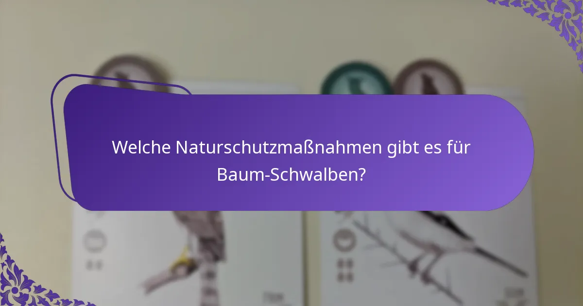 Wie interagieren Baum-Schwalben mit ihrem Ökosystem?