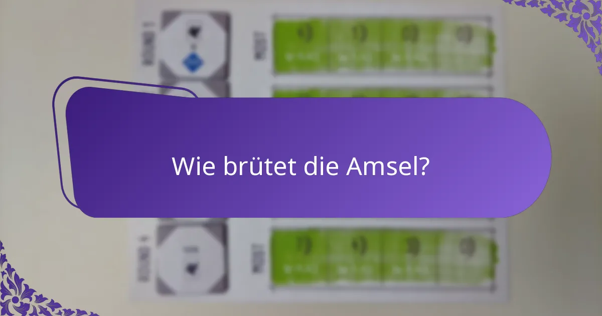 Wie brütet die Amsel?