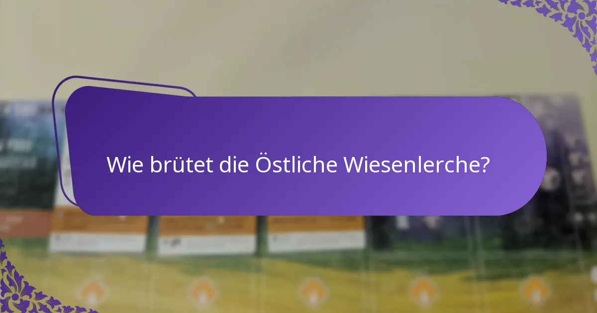 Wie brütet die Östliche Wiesenlerche?