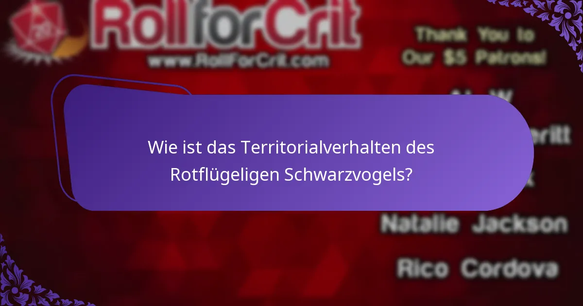 Wie passt sich das Verhalten des Rotflügeligen Schwarzvogels an Umweltveränderungen an?