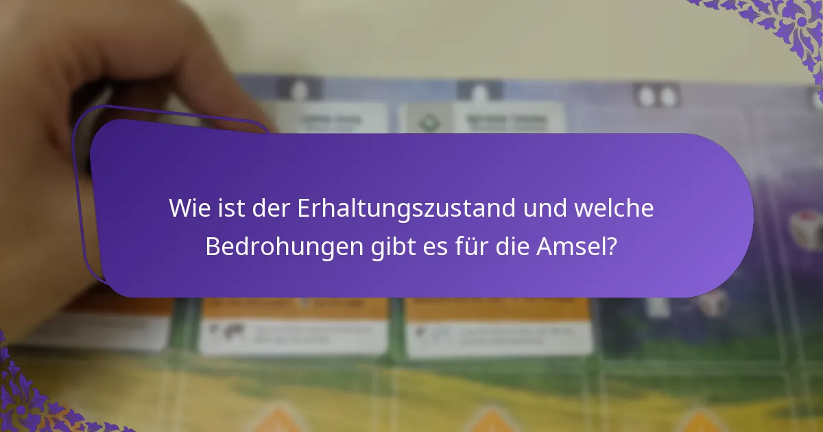 Wie ist der Erhaltungszustand und welche Bedrohungen gibt es für die Amsel?