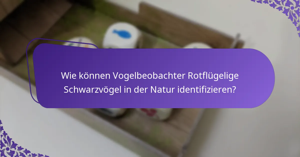Wie können Vogelbeobachter Rotflügelige Schwarzvögel in der Natur identifizieren?