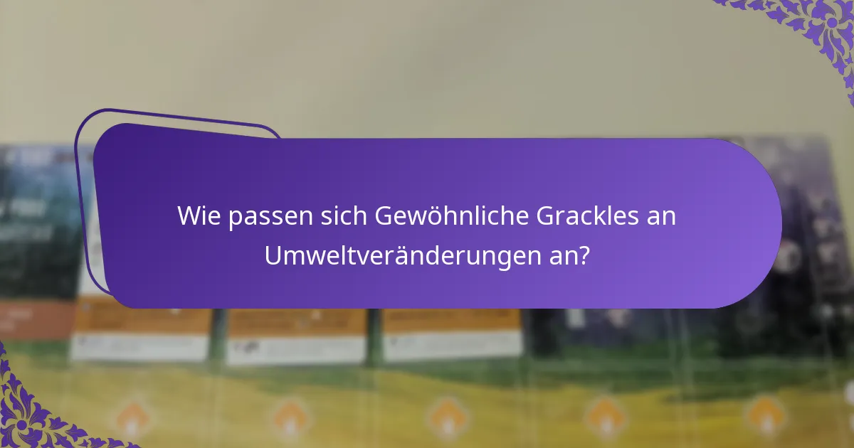 Wie sind die Fortpflanzungsgewohnheiten des Gewöhnlichen Grackles?