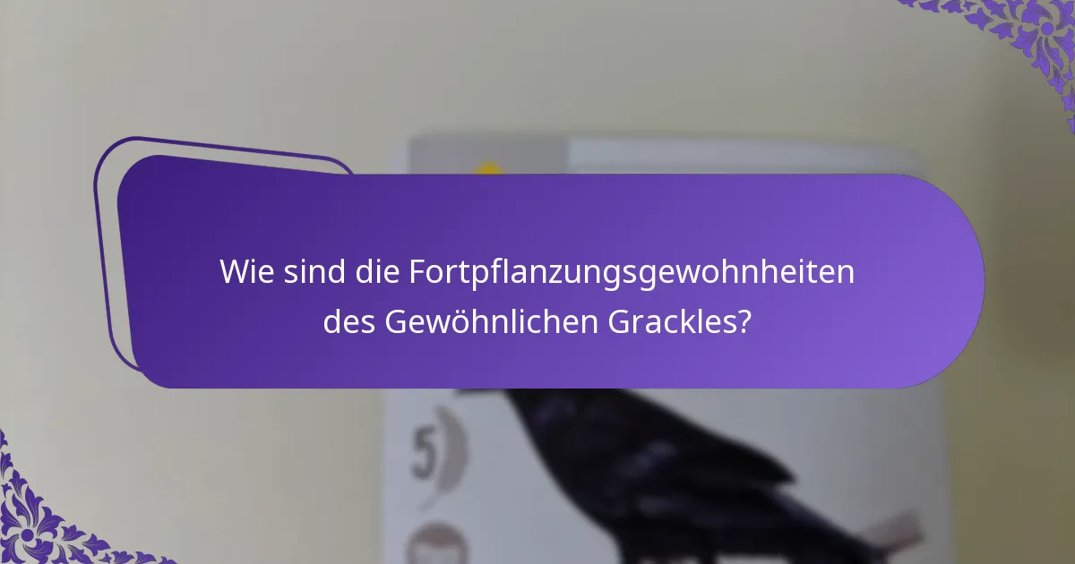 Wie passen sich Gewöhnliche Grackles an Umweltveränderungen an?