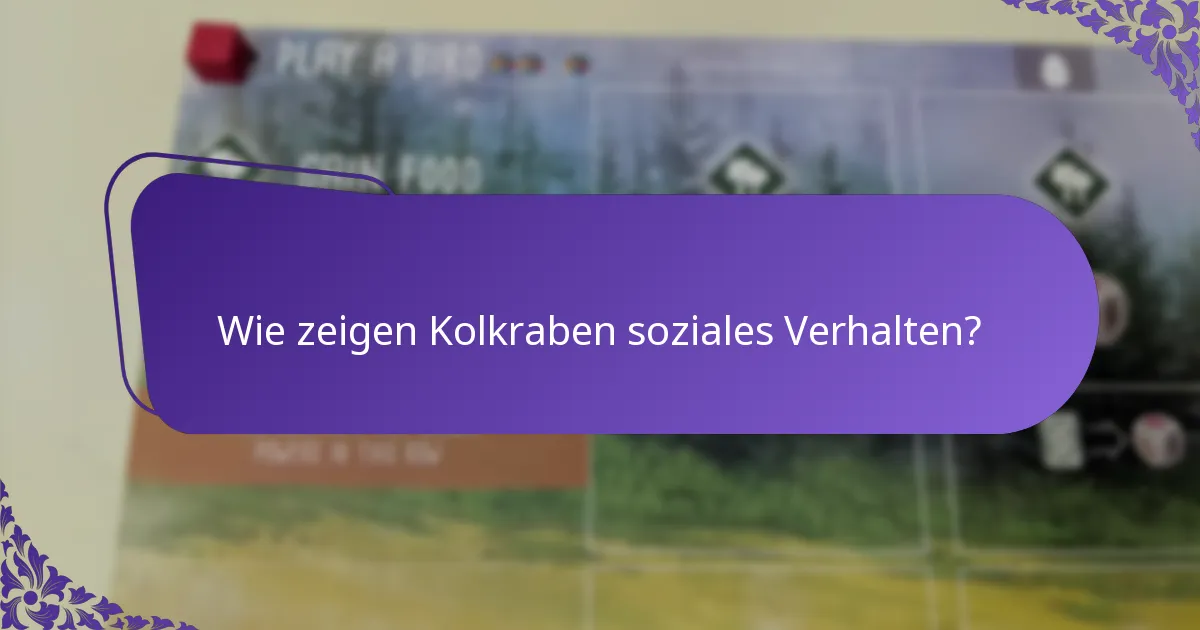 Wie vergleichen sich Kolkraben mit anderen Rabenvögeln?